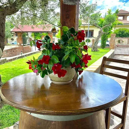 Frühstückspension A Casa Dei Nonni Vasto