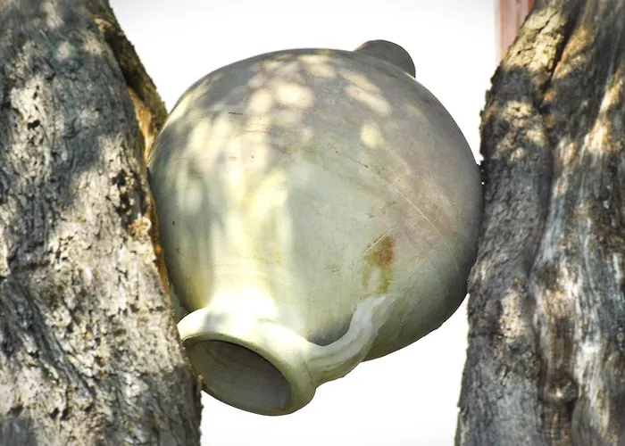 Bed & Breakfast A Casa Dei Nonni