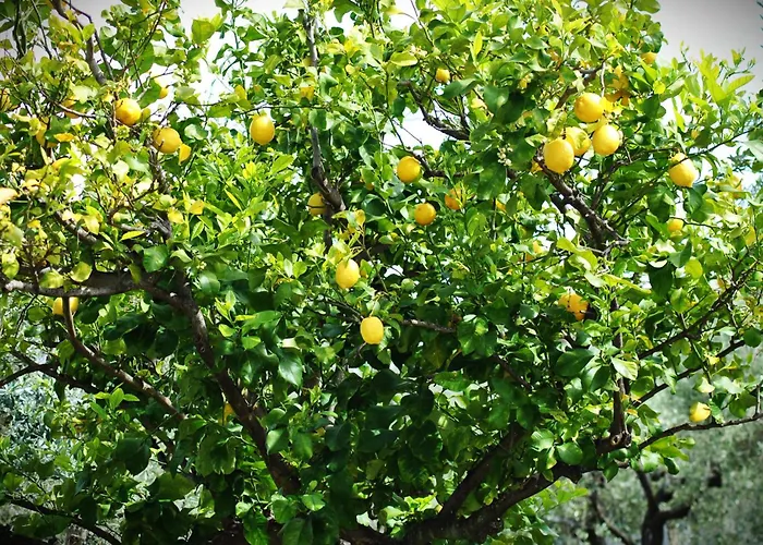 A Casa Dei Nonni Bed & Breakfast Vasto