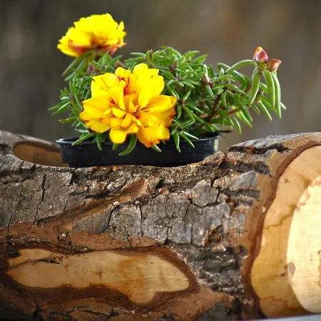 Bed & Breakfast A Casa Dei Nonni