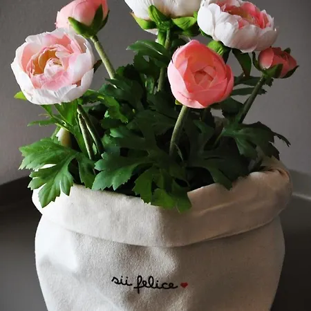 A Casa Dei Nonni Bed & Breakfast Vasto