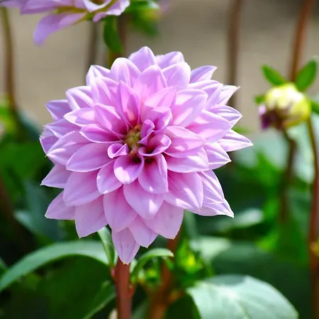 A Casa Dei Nonni Vasto