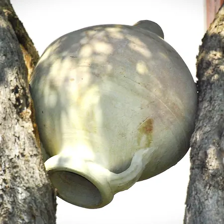 Bed & Breakfast A Casa Dei Nonni