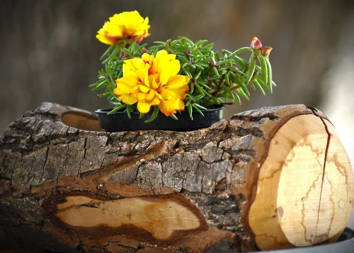 Nocleg ze śniadaniem A Casa Dei Nonni