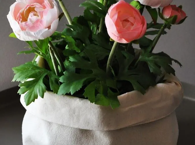 A Casa Dei Nonni Nocleg ze śniadaniem Vasto