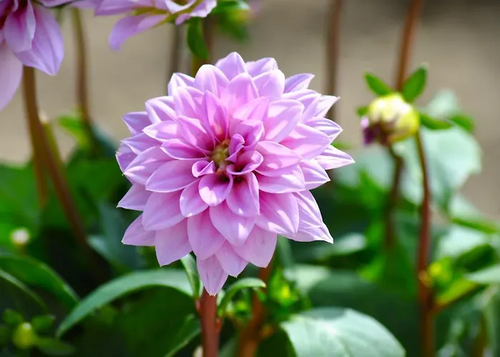 A Casa Dei Nonni Vasto